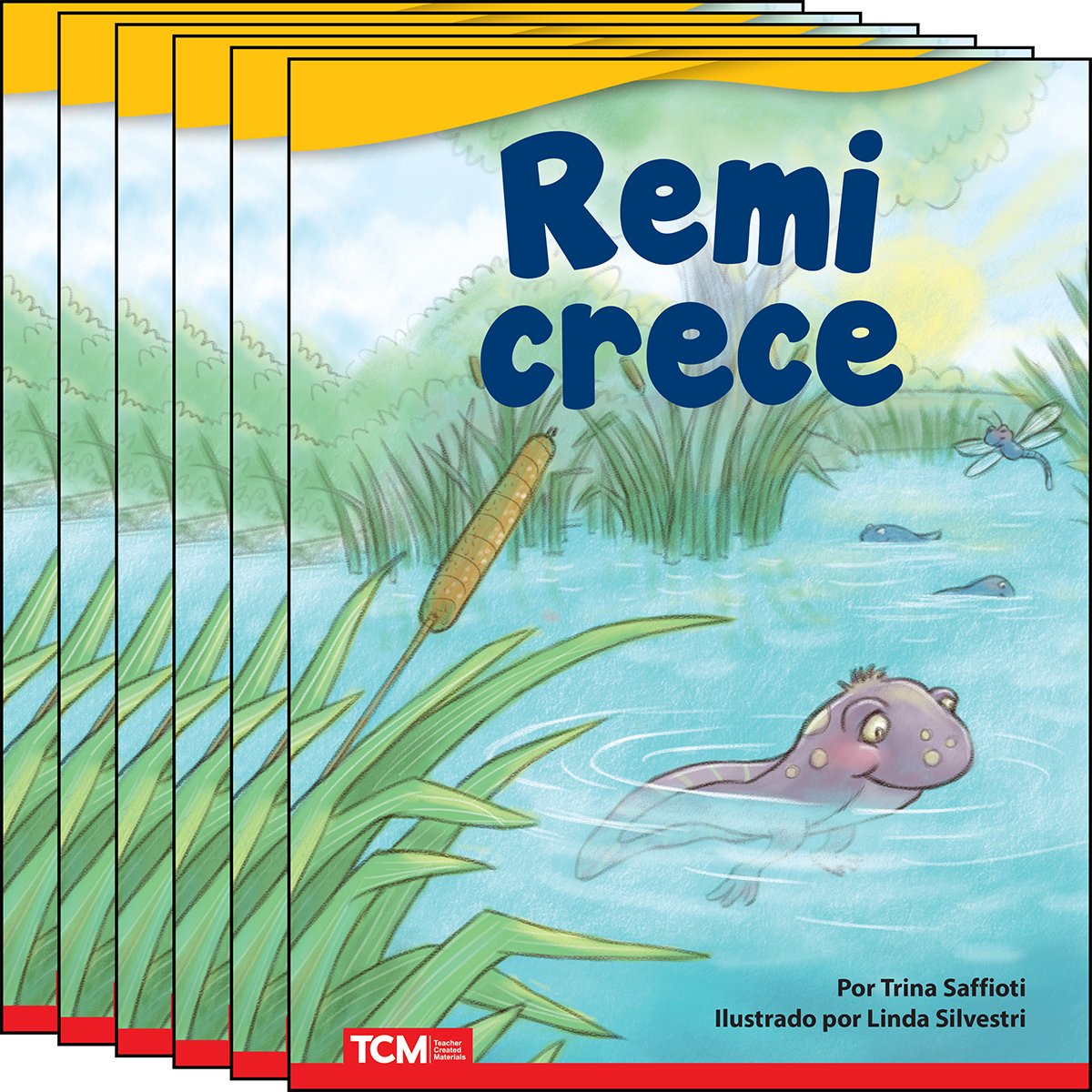 Remi crece 6-Pack